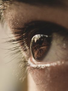 In autumn, you might notice that you are shedding more eyelashes and hair than before. This is perfectly normal - all mammals experience increased hair shedding at this time.